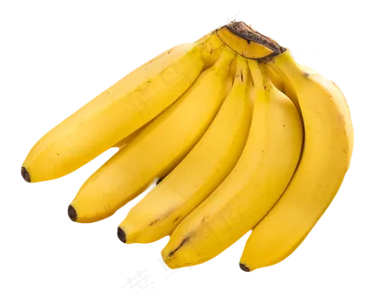 香蕉黄香蕉 香蕉黄香蕉