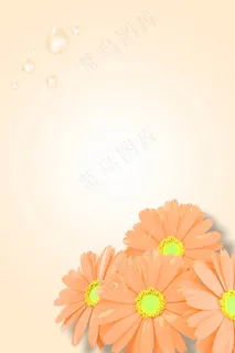 小雏菊天然护肤公告