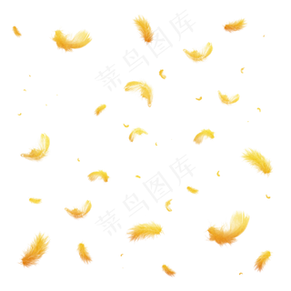 金色羽毛漂浮前景气氛电商可商用,免抠元素