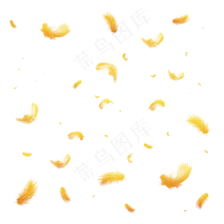 金色羽毛漂浮前景气氛电商可商用,免抠元素