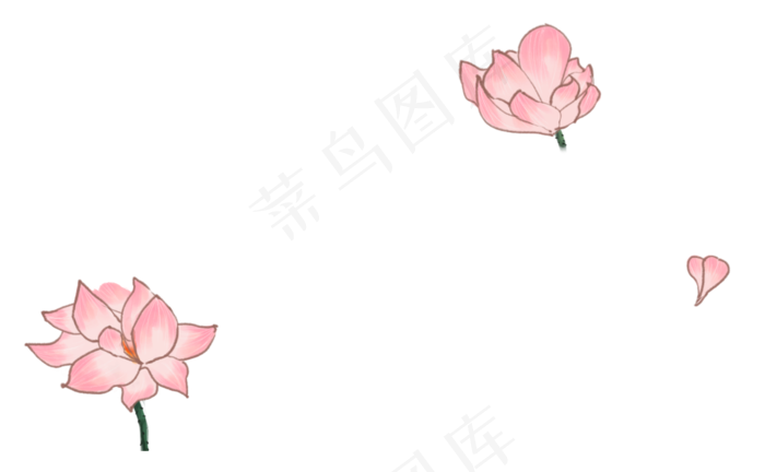 荷花花朵(1312X810(DPI:300))psd模版下载