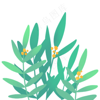 草叶子杂草荒草