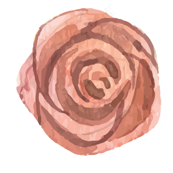 盛开的花朵免抠图(2083X2083(DPI:299))psd模版下载