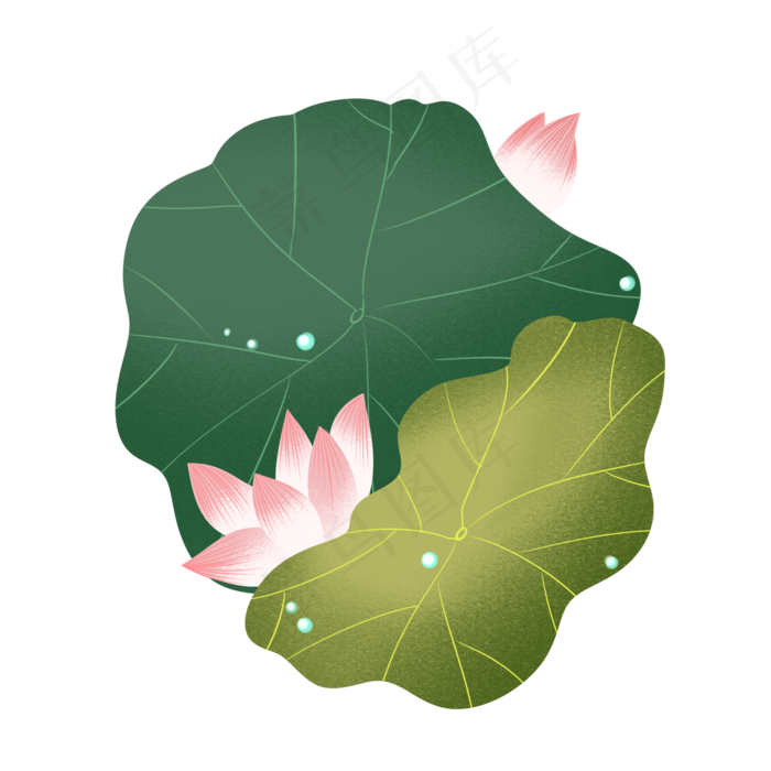 两片荷叶两支荷花装饰图案