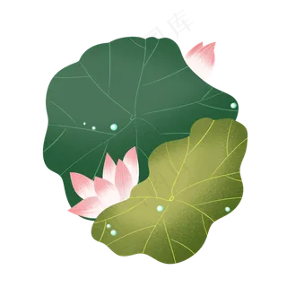 两片荷叶两支荷花装饰图案