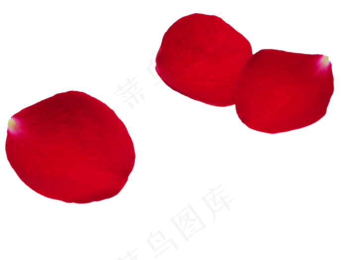 玫瑰花瓣(2000X2000(DPI:300))