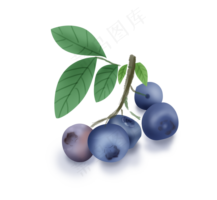 手绘暑假夏天蓝莓