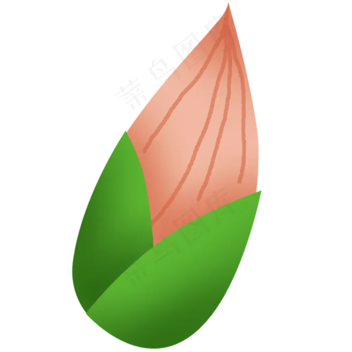 粉色荷花花骨朵元素(2000X2000(DPI:300))psd模版下载