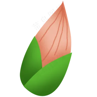 粉色荷花花骨朵元素