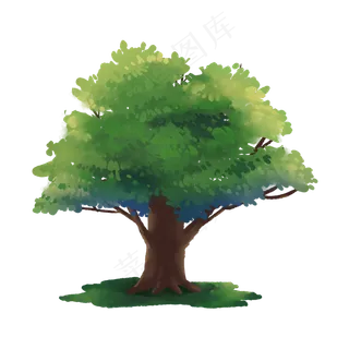 绿色长满绿叶的大树,免抠元素