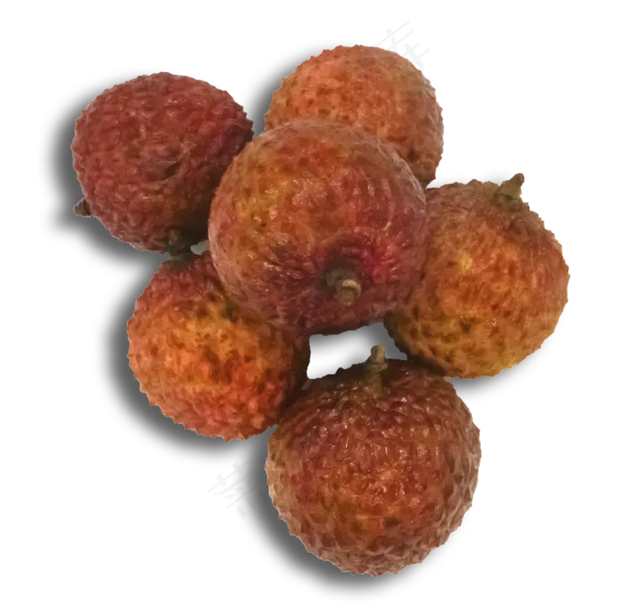 夏日水果荔枝(2776*2621px 300 dpi )