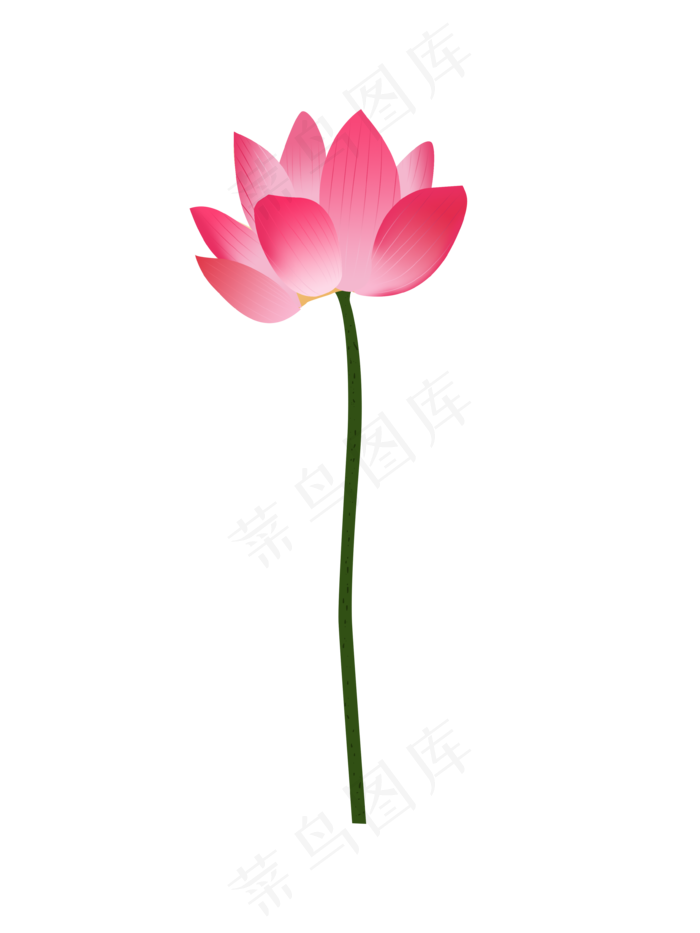 夏季荷花png下载(3543X4724(DPI:300))psd模版下载