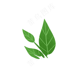 绿色叶子