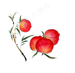 水墨国画红色桃子水果鲜果寿桃P