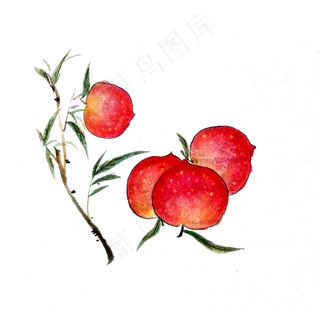 水墨国画红色桃子水果鲜果寿桃P