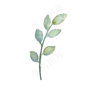 卡通植物绿叶下载