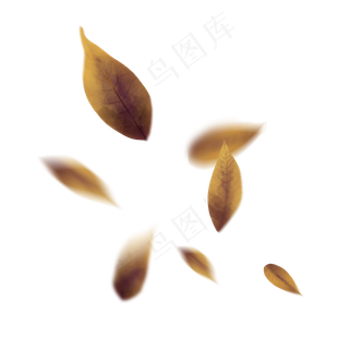 漂浮的树叶手绘棕黄色叶子秋冬的
