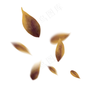 漂浮的树叶手绘棕黄色叶子秋冬的