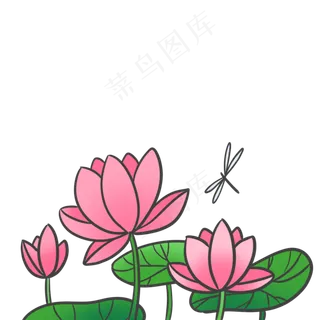 夏日小清新荷花和蜻蜓