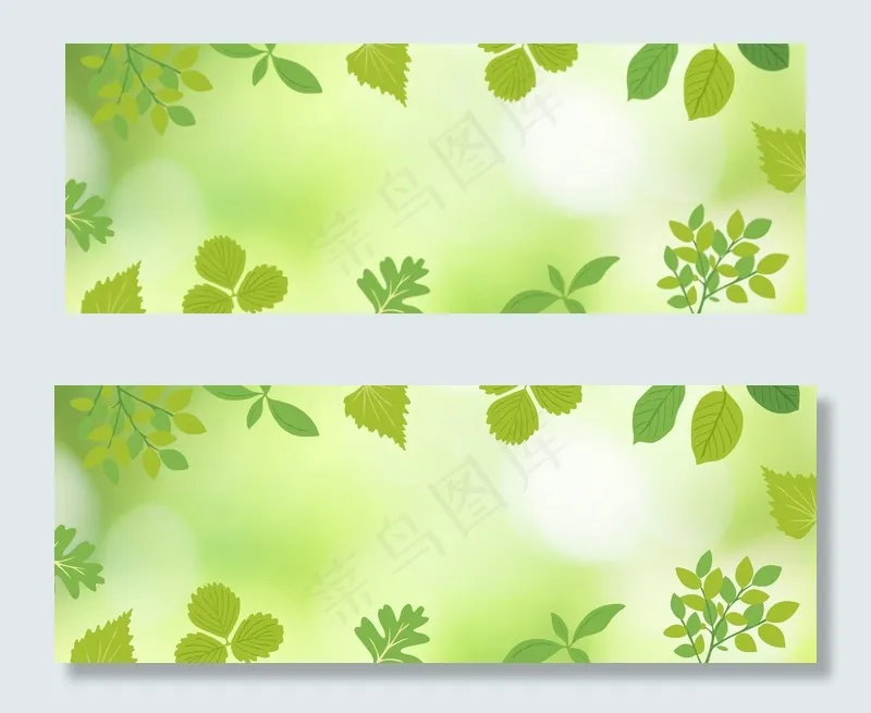 立夏节气绿植枝叶banner