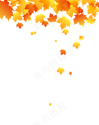 秋天红枫落叶飞舞,免抠元素