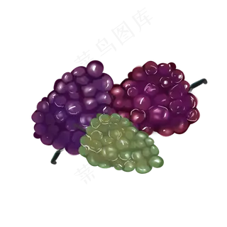 水彩水果葡萄