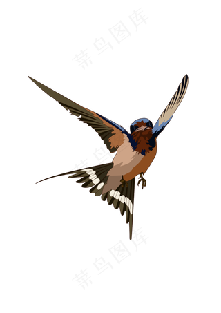 春分燕子免扣元素,免抠元素