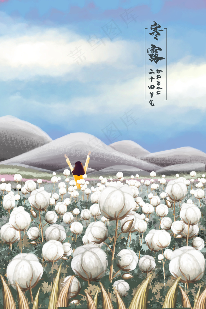 二十四节气寒露棉花地