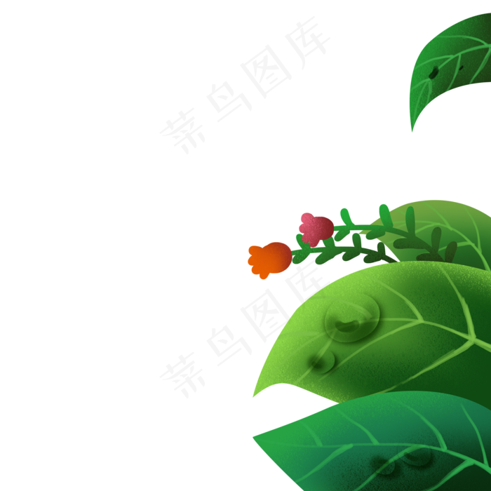 卡通植物绿叶下载(2000X2000(DPI:300))psd模版下载