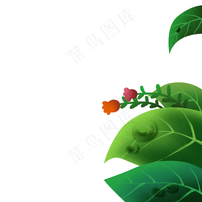 卡通植物绿叶下载