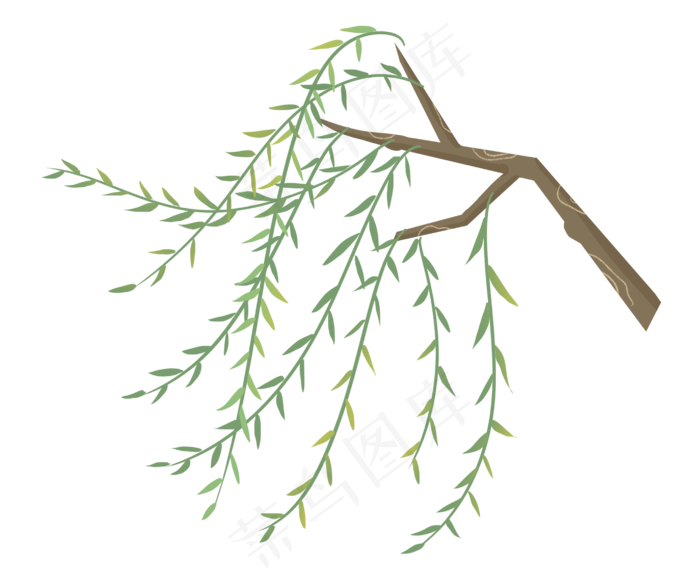 漂浮柳叶清明节树枝树叶