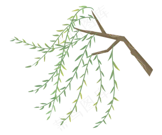 漂浮柳叶清明节树枝树叶