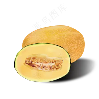 矢量手绘逼真写实哈密瓜组合可商