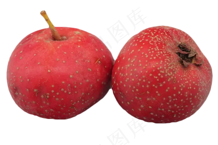 开胃水果山楂(3000*2000px 300 dpi )