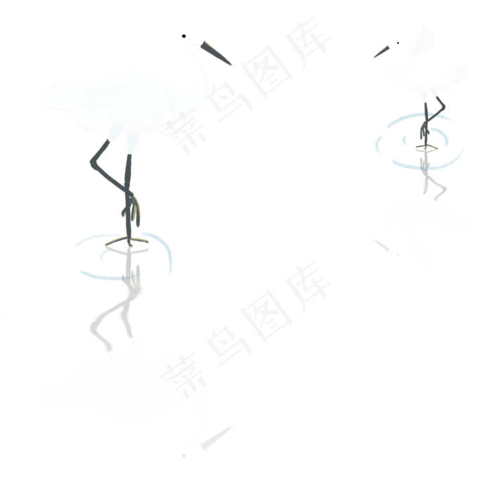 白露节气白鹭鸟在河水中戏水插图,免抠元素