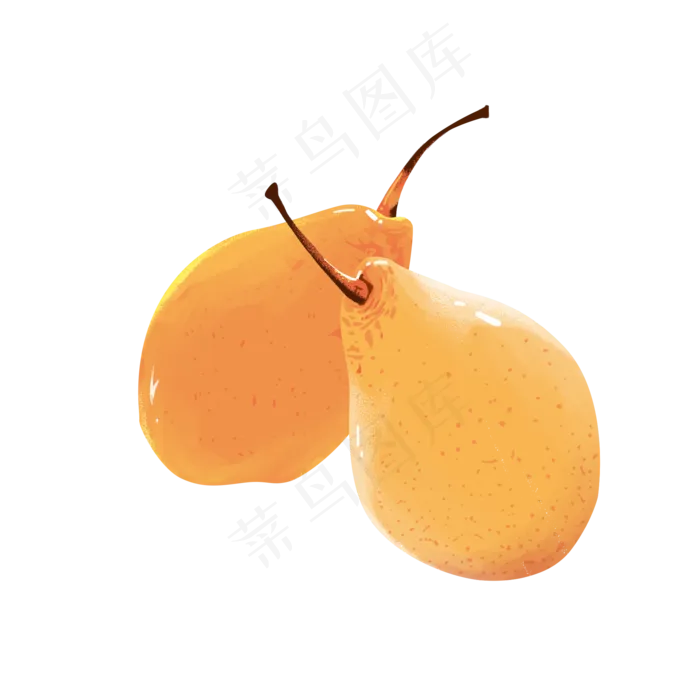 梨子黄金香梨水果鲜果PNG(2000X2000(DPI:300))psd模版下载
