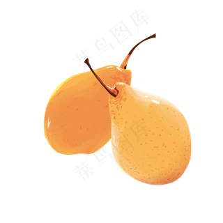 梨子黄金香梨水果鲜果PNG