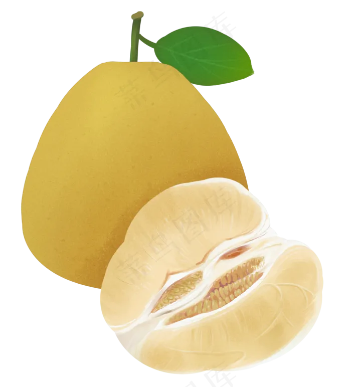 柚子水果(1814X2000(DPI:300))psd模版下载