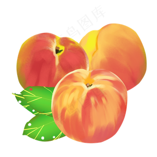 水彩桃子水果
