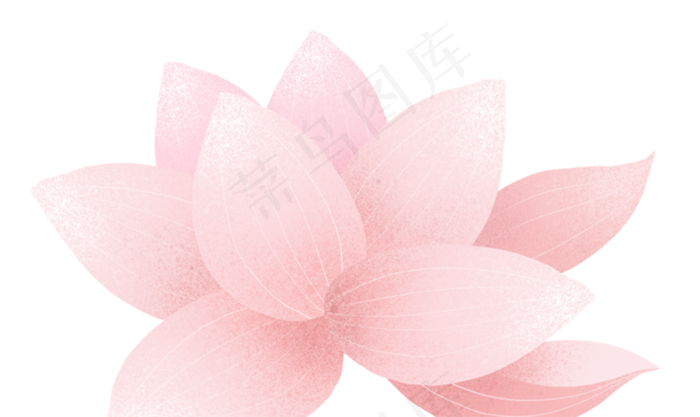 荷花粉色(1500X894(DPI:300))psd模版下载