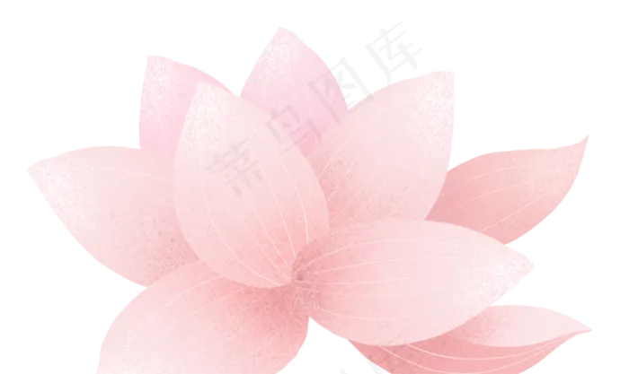荷花粉色(1500X894(DPI:300))psd模版下载