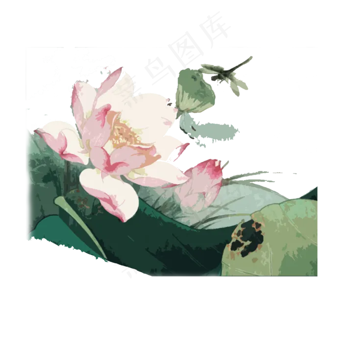 荷花国画古典嫩绿PNG