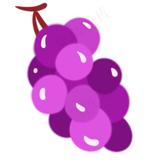 葡萄水果植物紫色可爱
