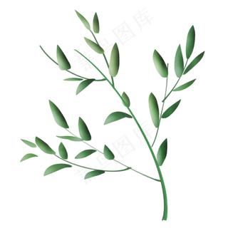 家居装饰植物绿色热带叶子