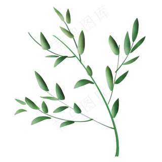 家居装饰植物绿色热带叶子