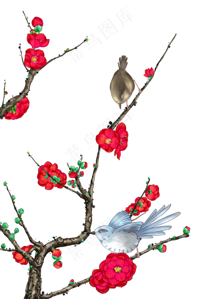 红色玫瑰花与鸟儿