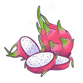 手绘切开的白心火龙果PNG免抠