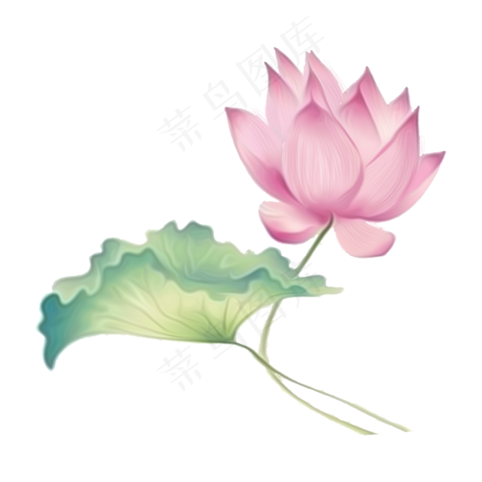 荷花鲜花矢量图卡通