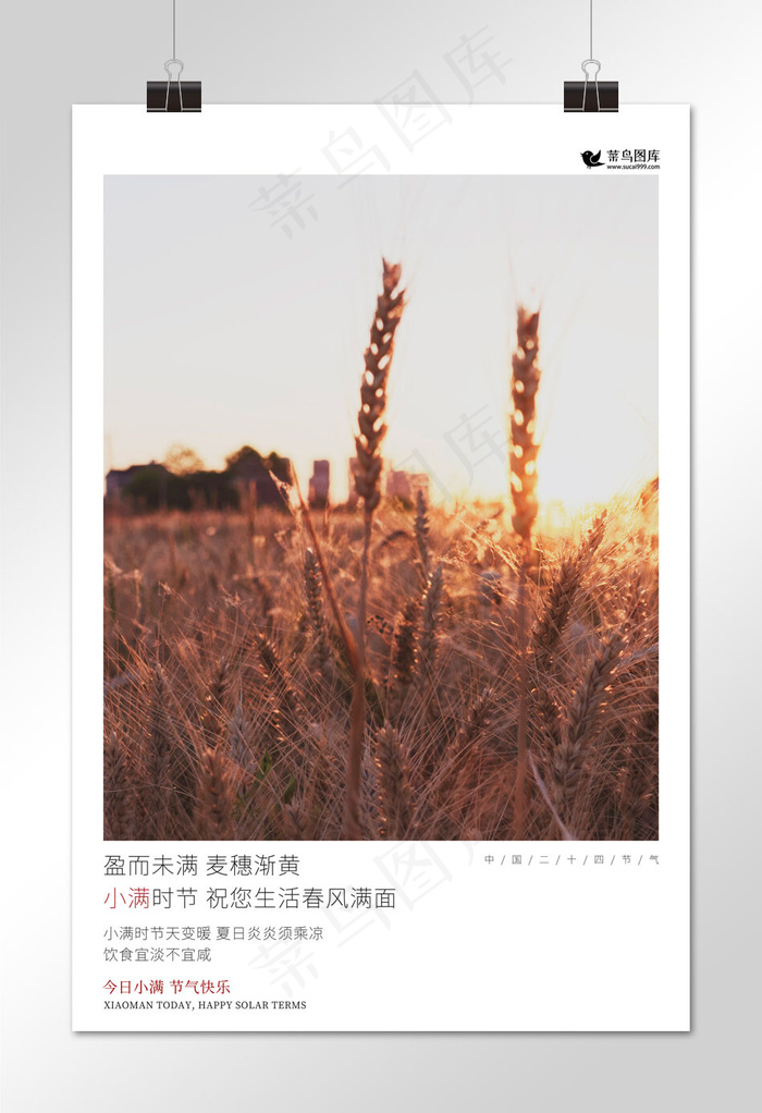 小满小麦红色写实海报