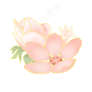 节日金边粉色手绘花叶装饰,免抠元素